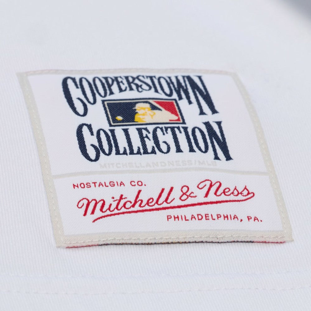 Chicago Cubs Mitchell & Ness Cooperstown Collection Arctic T-Shirt Online