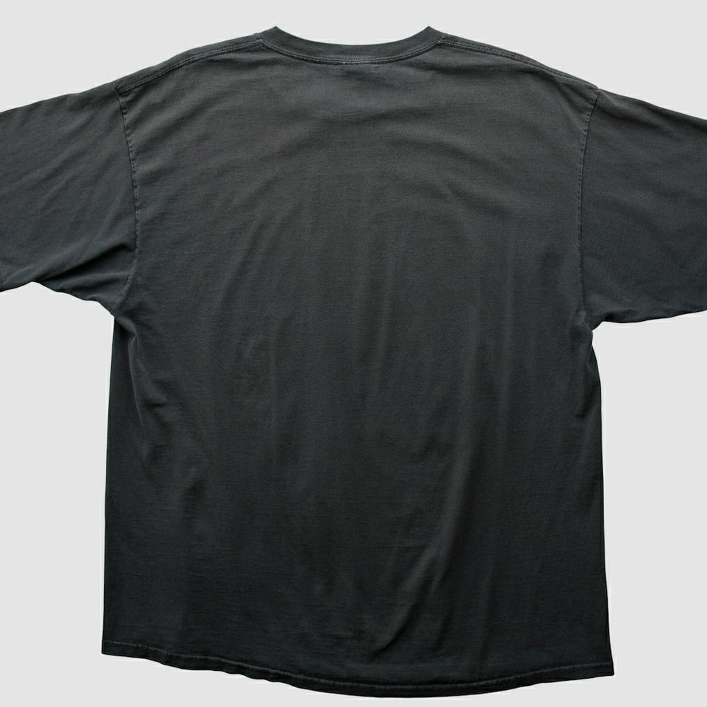 Pittsburgh Steelers NFL 2000s T-shirt - Black Vintage - Fanatics