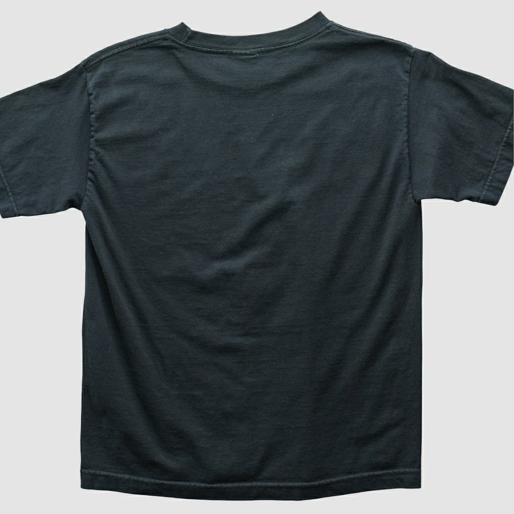 Philadelphia Eagles Alstyle 2004 T-shirt - Black Vintage - Fanatics