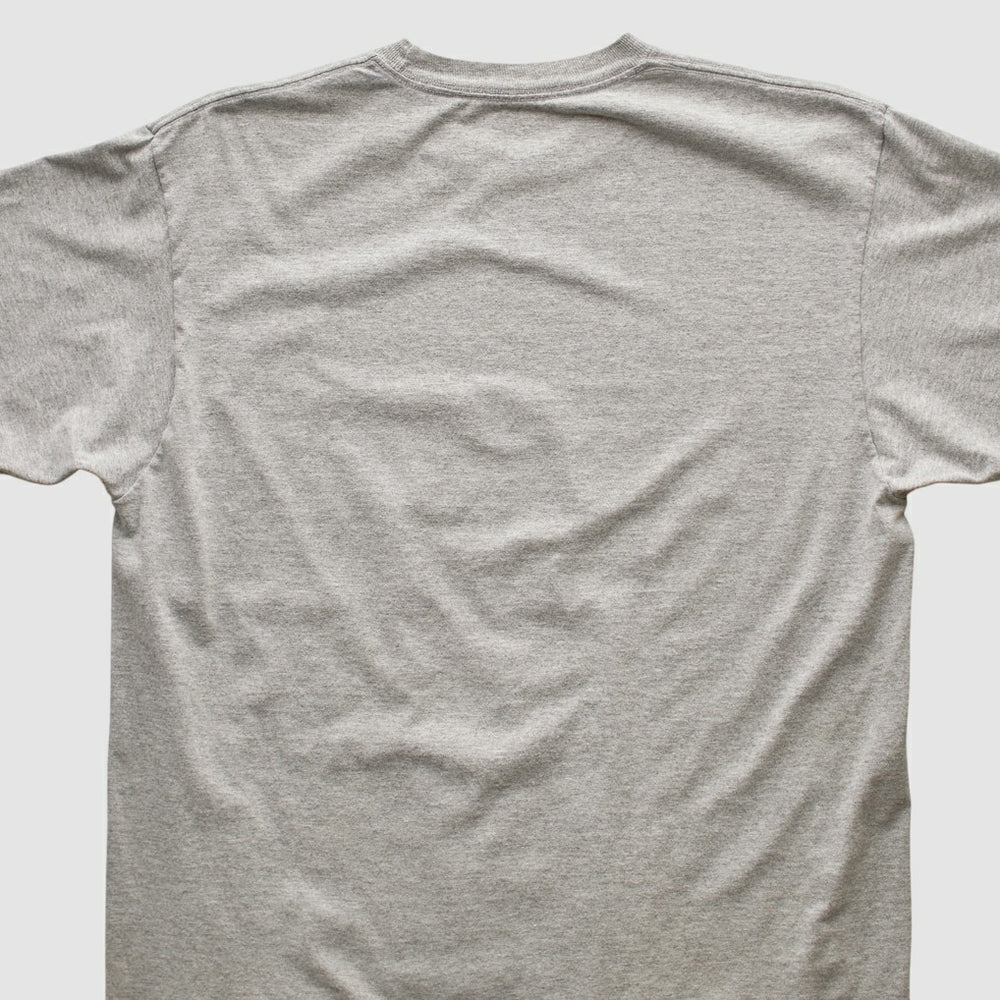 Pittsburgh Steelers Reebok 2006 T-shirt - Heather Gray Vintage - Fanatics