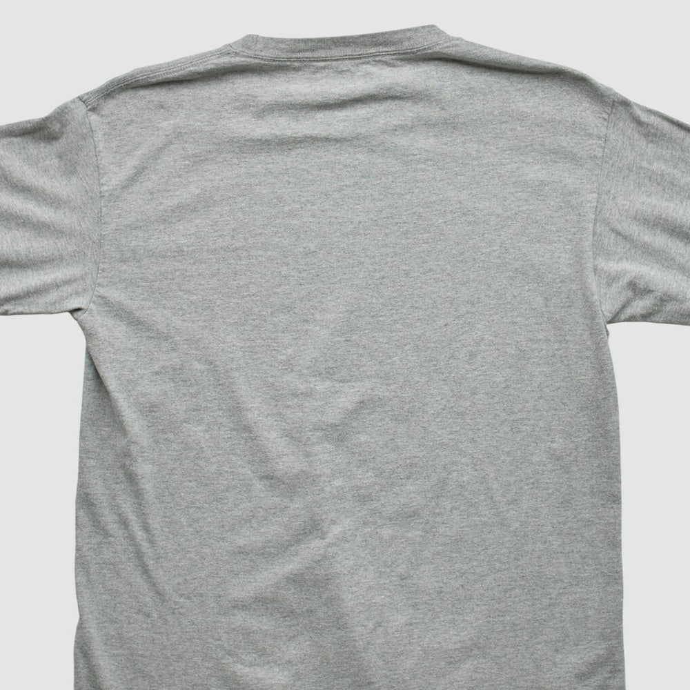 Green Bay Packers NFL 2010 Long Sleeve T-shirt - Heather Gray Vintage - Fanatics