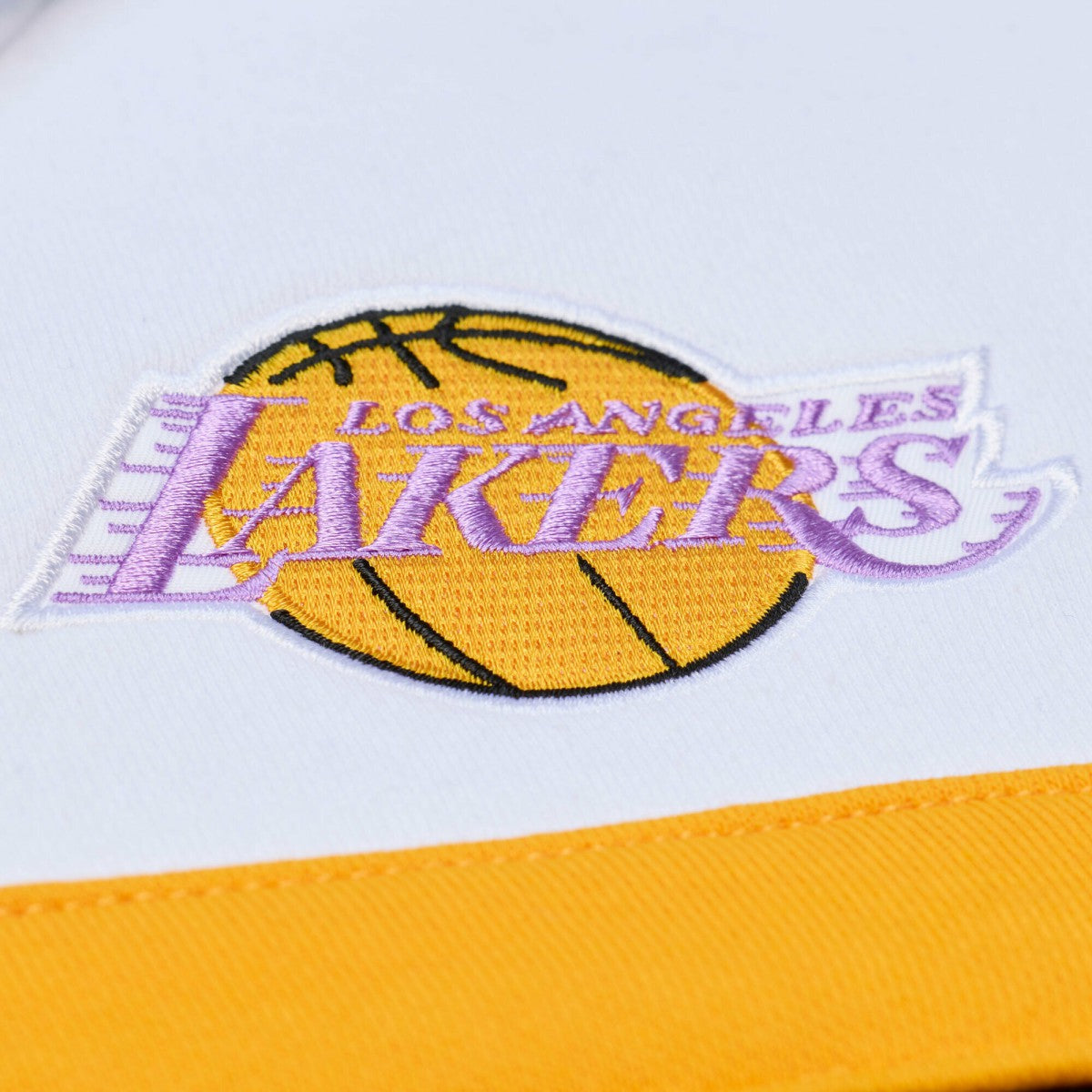 Mitchell & Ness Los Angeles Lakers Head Coach Hoodie Black