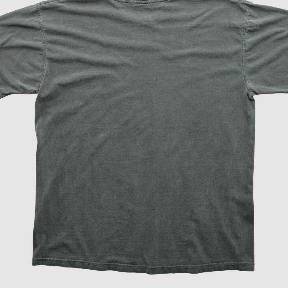 Cleveland Browns NFL Pro Line 2010s T-shirt - Charcoal Vintage - Fanatics