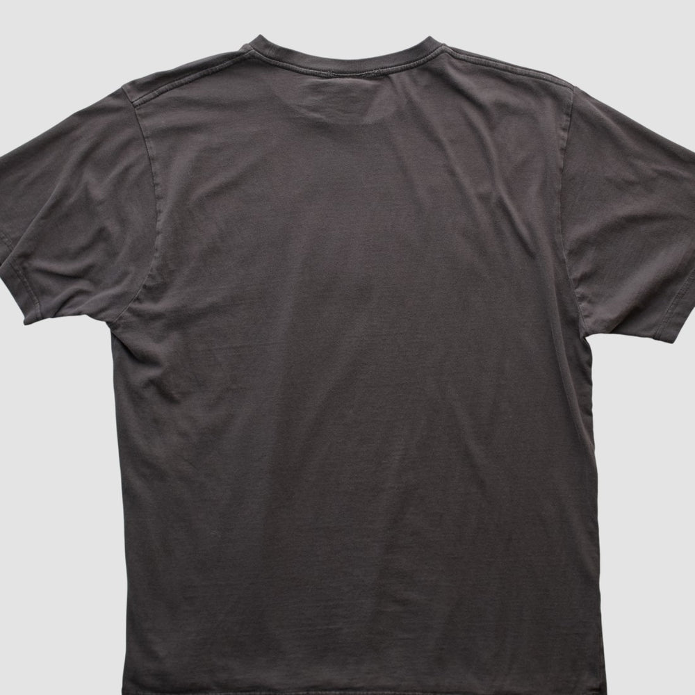 Detroit Lions Team Edition Apparel 2010s T-shirt - Charcoal Vintage - Fanatics