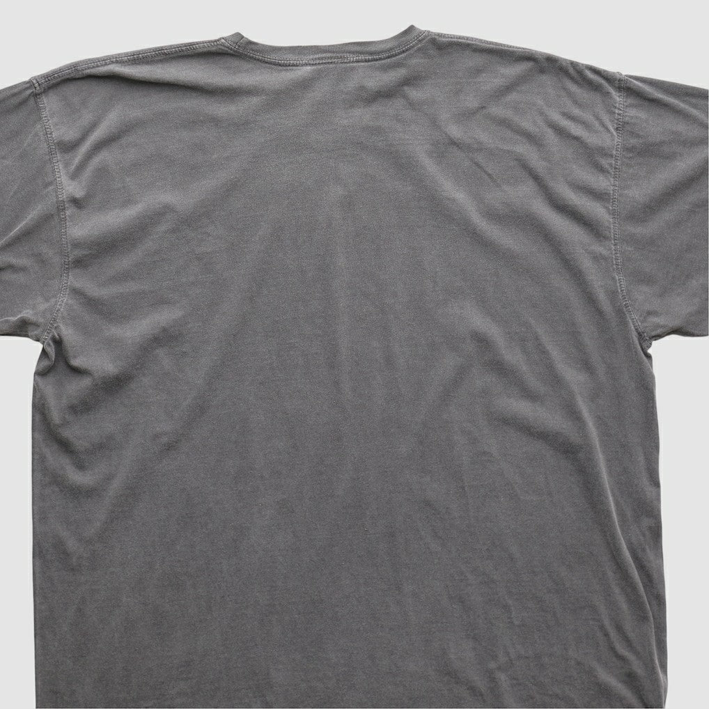Cleveland Browns NFL 2010s T-shirt - Charcoal Vintage - Fanatics