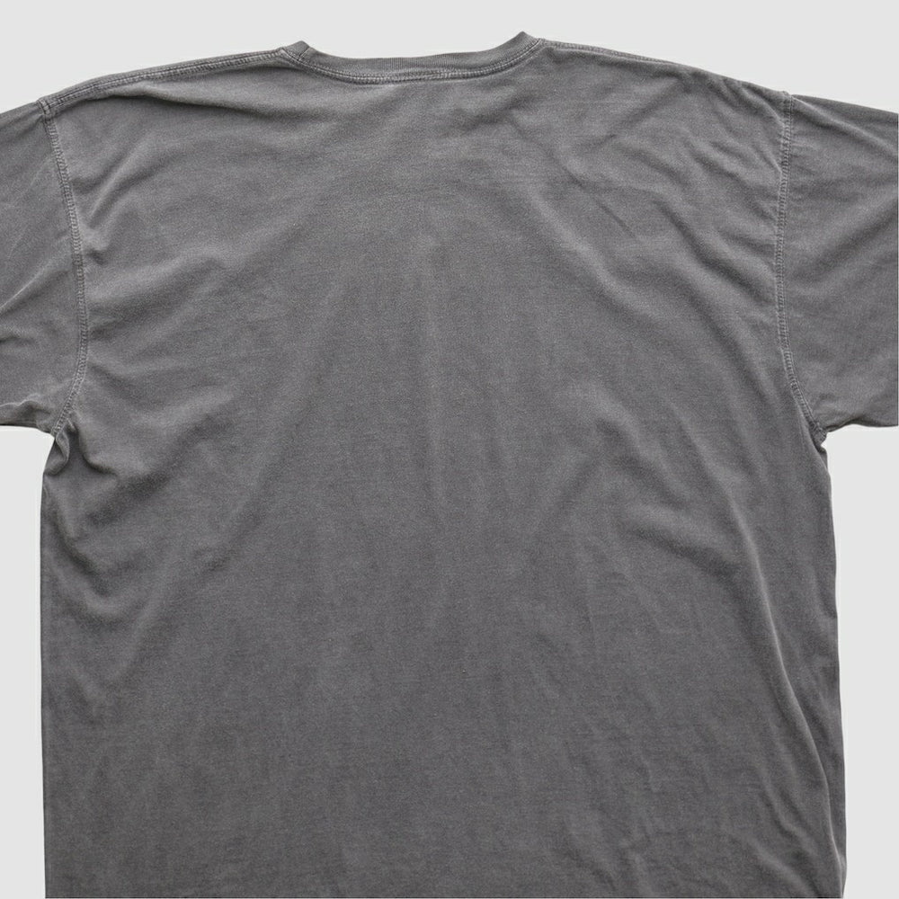 Cleveland Browns NFL 2010s T-shirt - Charcoal Vintage - Fanatics