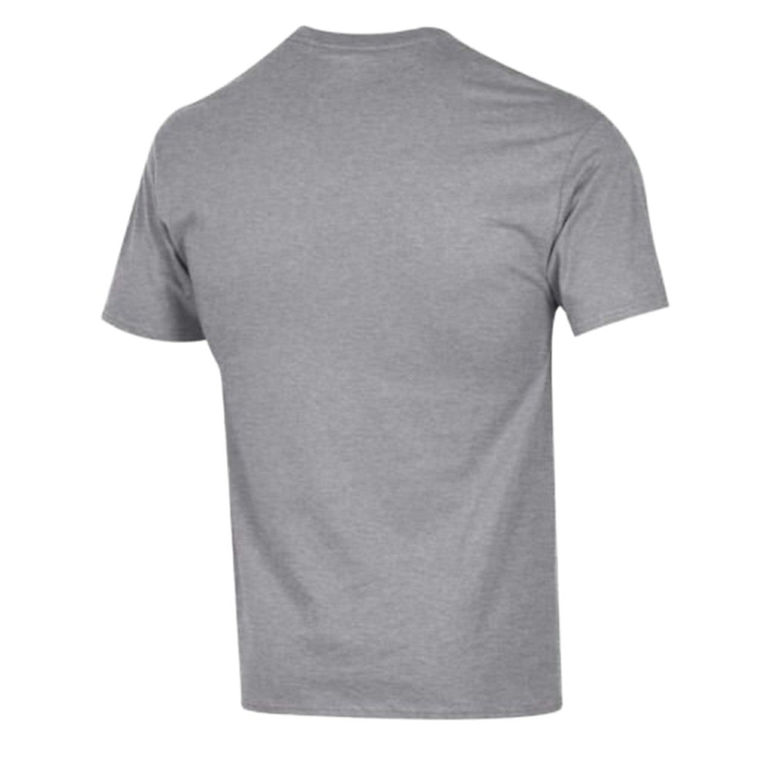 Detroit Lions Champion Arch Over Logo T-Shirt - Gray - NFL