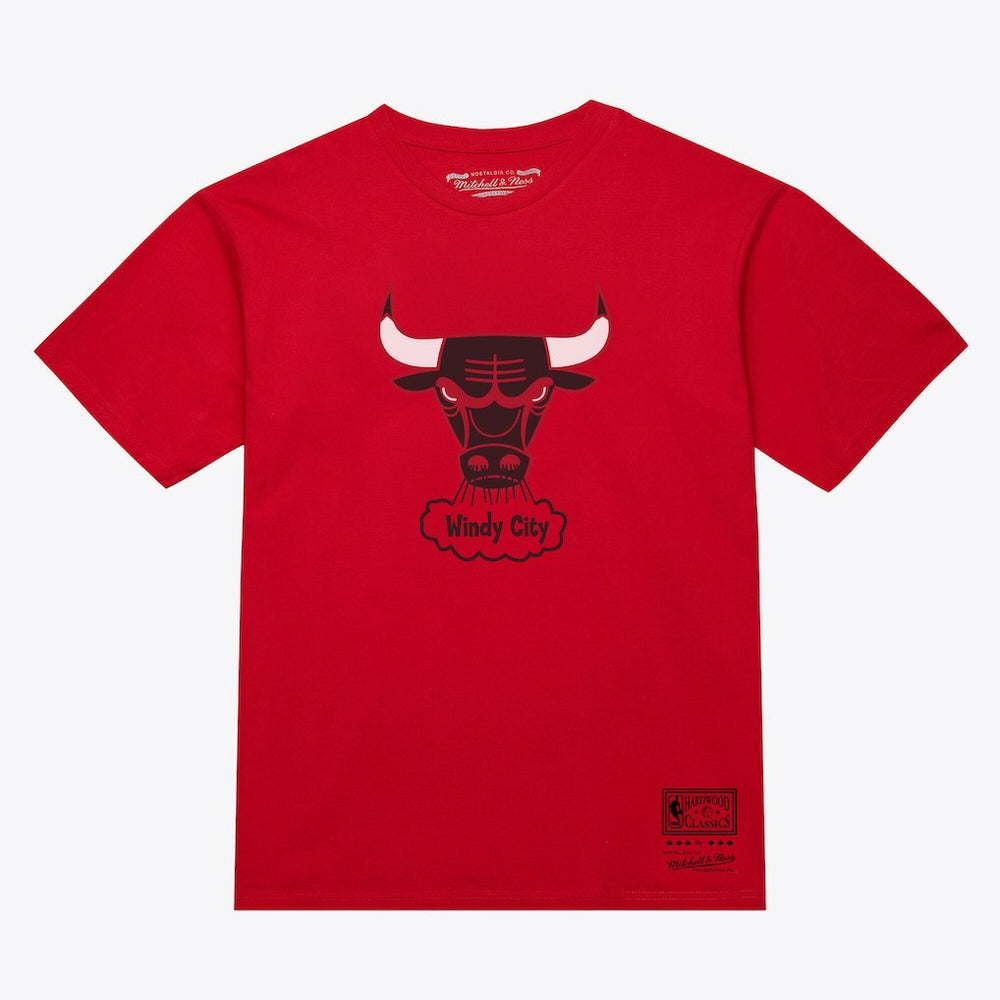 Mitchell & Ness Chicago Bulls Unisex Hardwood Classics Arch T-Shirt Red