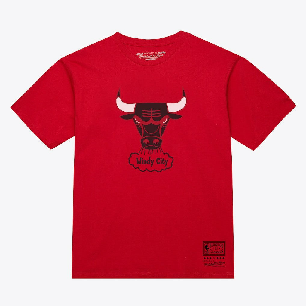 Mitchell & Ness Chicago Bulls Unisex Hardwood Classics Arch T-Shirt Red