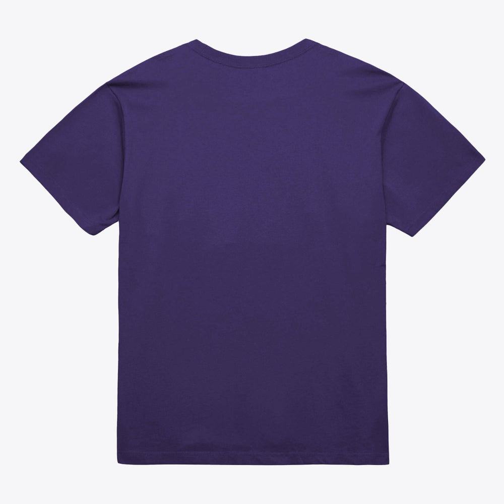 Mitchell & Ness Phoenix Suns Unisex Hardwood Classics Arch T-Shirt Purple