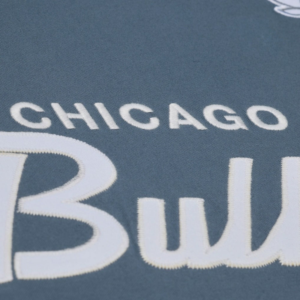 Mitchell & Ness Chicago Bulls Thunderstorm T-Shirt Blue