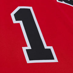 Mitchell & Ness Derrick Rose Chicago Bulls 2008-09 Authentic Jersey Red