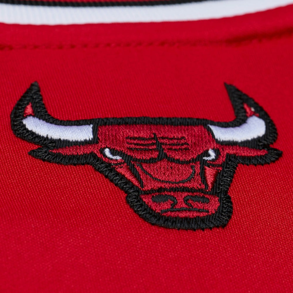 Mitchell & Ness Derrick Rose Chicago Bulls 2008-09 Authentic Jersey Red
