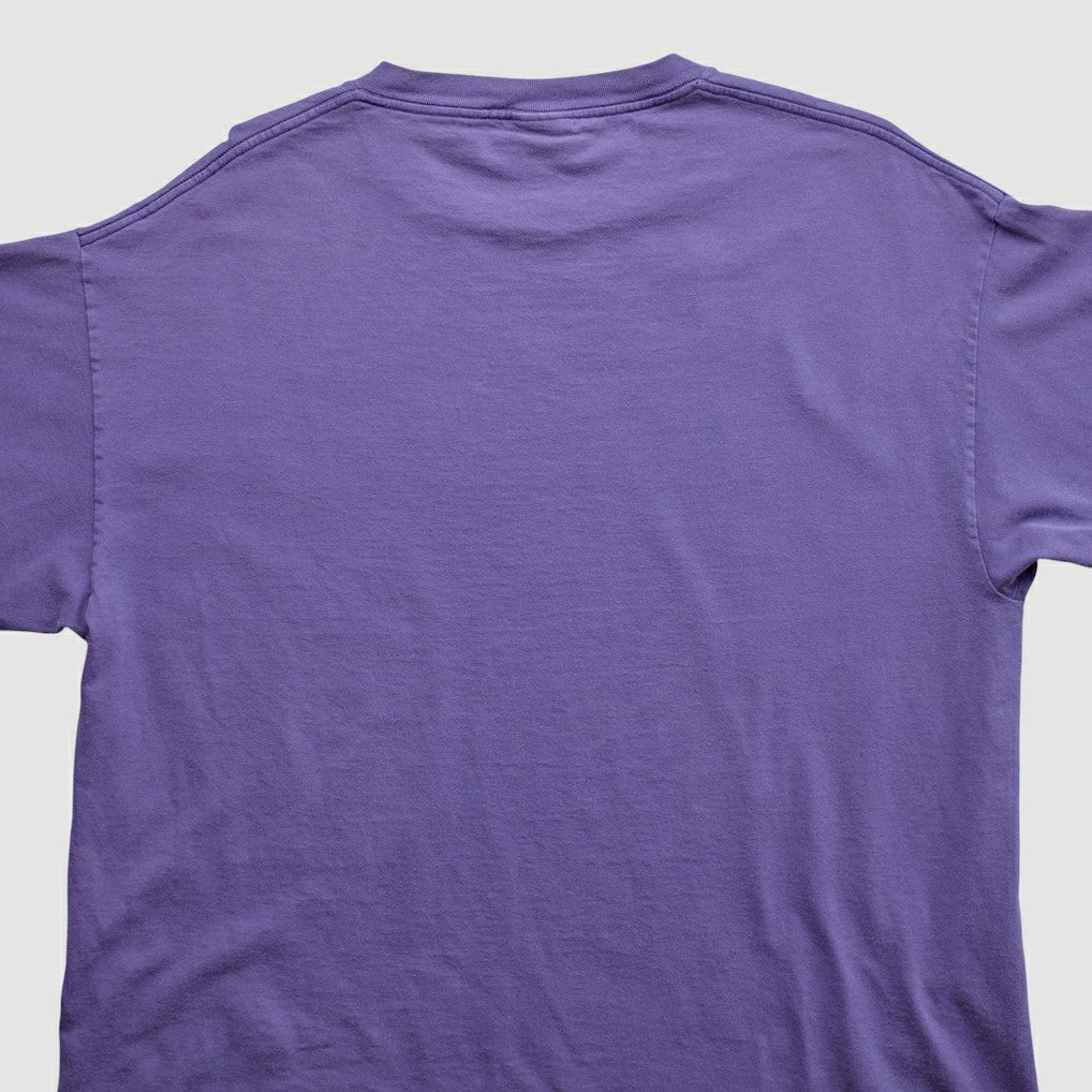 Minnesota Vikings Lee Apparel 2000s T-shirt - Purple Vintage - Fanatics