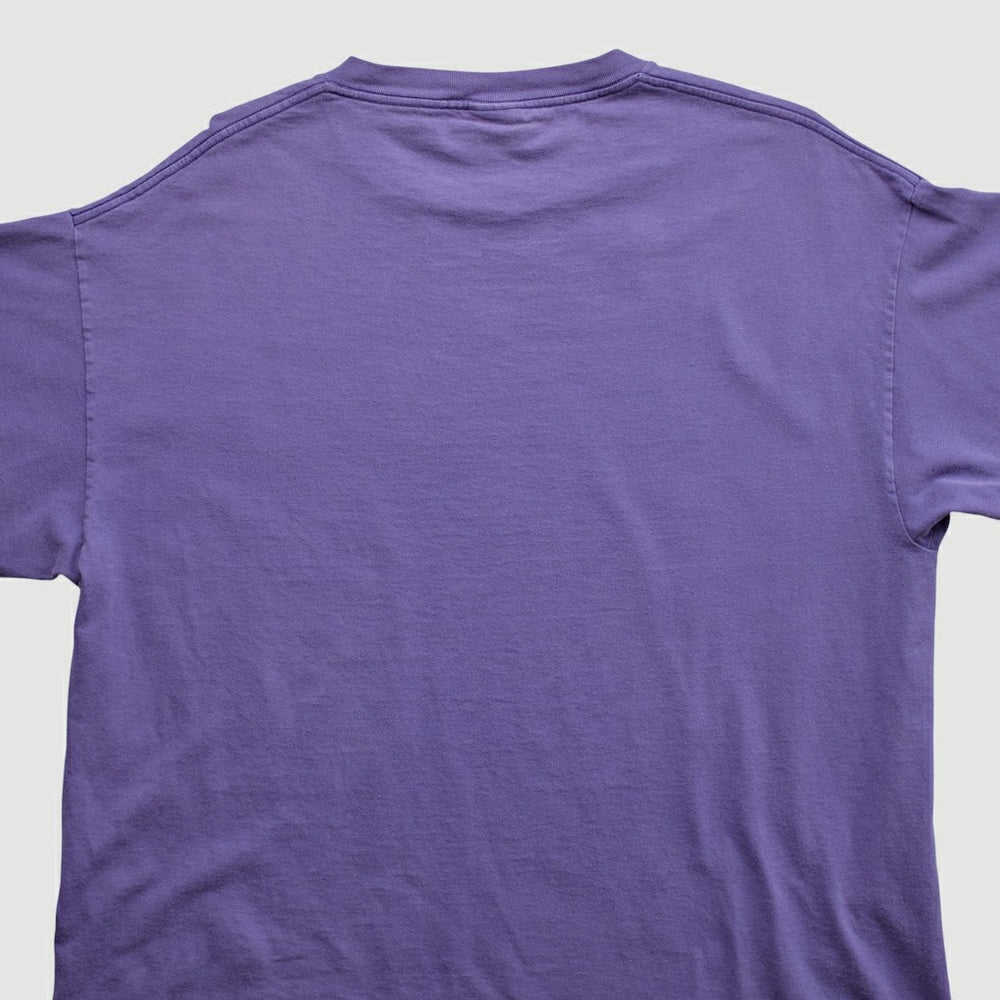 Minnesota Vikings Lee Apparel 2000s T-shirt - Purple Vintage - Fanatics