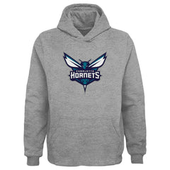 Charlotte Hornets Outerstuff Youth Primary Logo Pullover Hoodie Gray