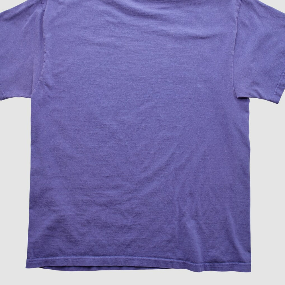 Minnesota Vikings NFL 2000s T-shirt - Purple Vintage - Fanatics