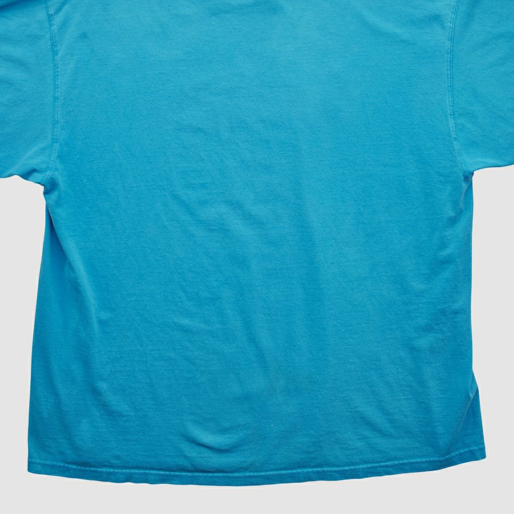 Carolina Panthers NFL 2000s T-shirt - Blue Vintage - Fanatics
