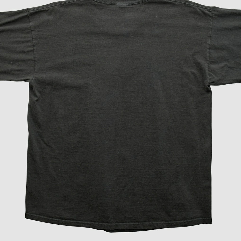 Pittsburgh Steelers NFL 2000s Long Sleeve T-shirt - Black Vintage - Fanatics
