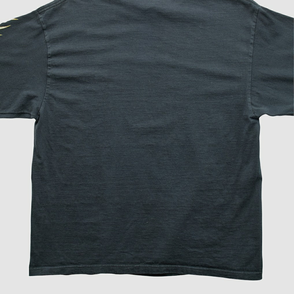 Pittsburgh Steelers NFL 2000s Long Sleeve T-shirt - Black Vintage - Fanatics
