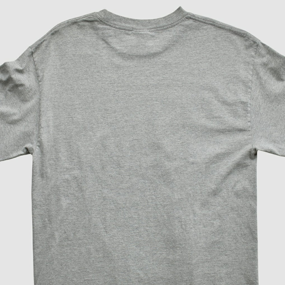 Division Champions NFL 2006 Long Sleeve T-shirt - Heather Gray Vintage - Fanatics