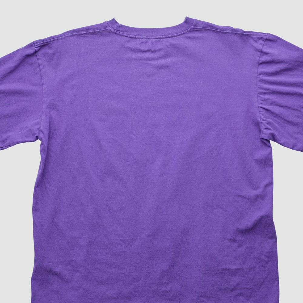 Minnesota Vikings NFL 2000s T-shirt - Purple Vintage - Fanatics