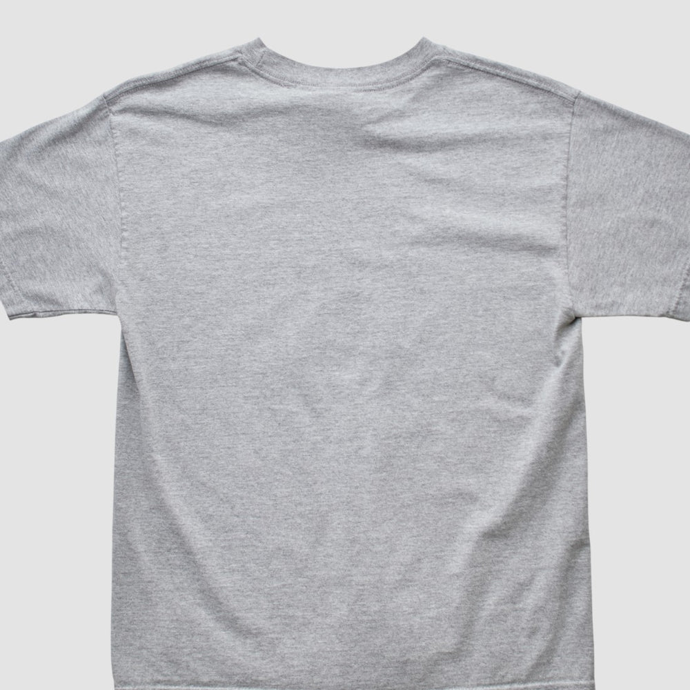 Denver Broncos NFL 2000s T-shirt - Heather Gray Vintage - Fanatics
