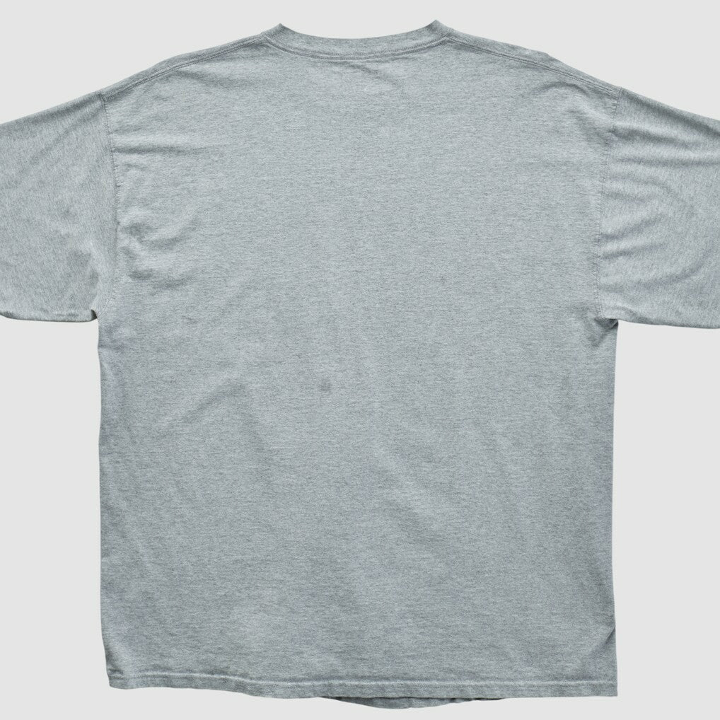 Miami Dolphins NFL 2000s T-shirt - Heather Gray Vintage - Fanatics