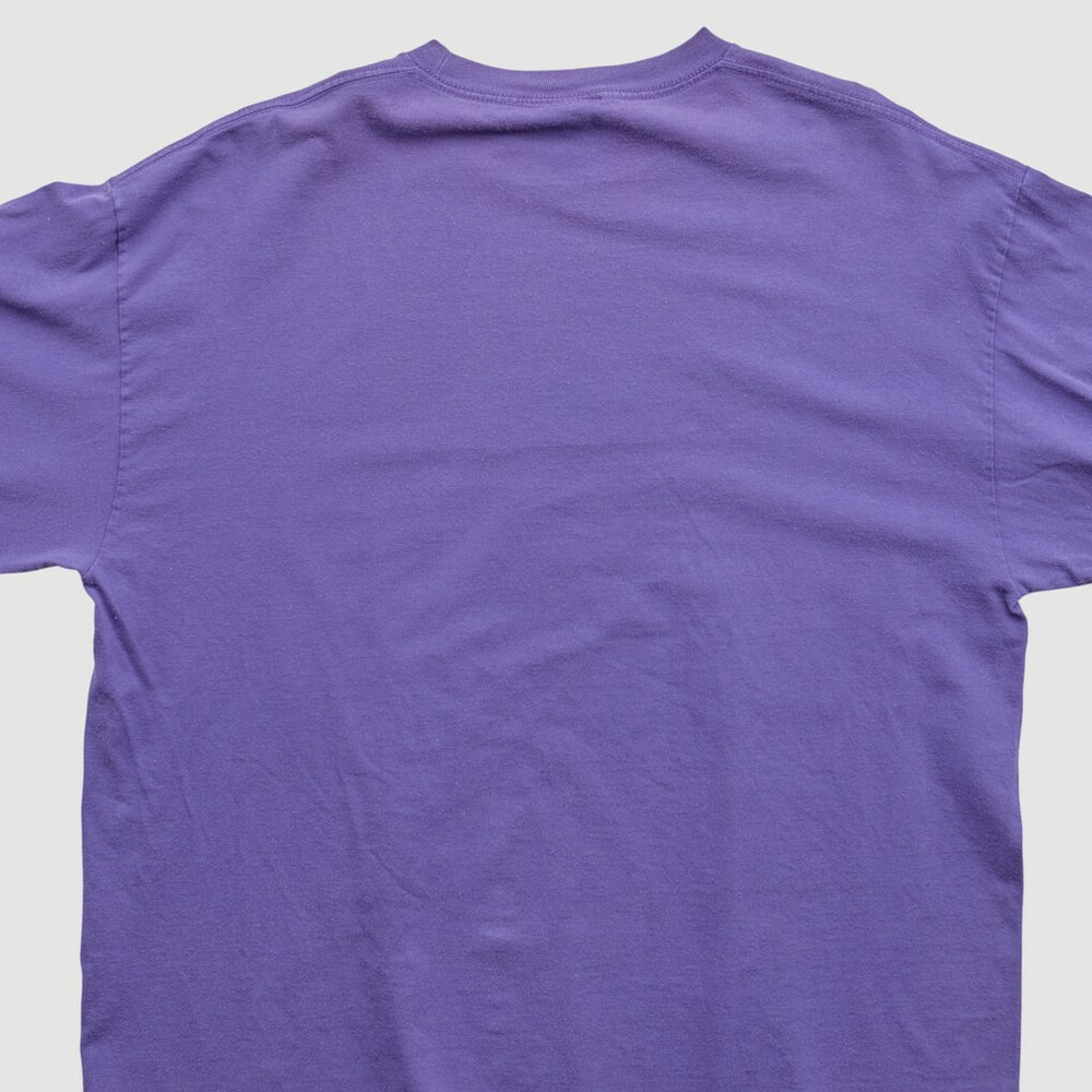 Minnesota Vikings NFL 2010s Long Sleeve T-shirt - Purple Vintage - Fanatics