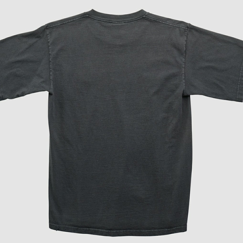 Pittsburgh Steelers NFL 2000s T-shirt - Black Vintage - Fanatics