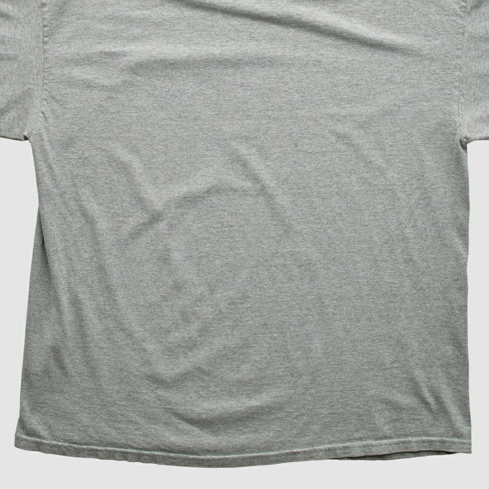 Philadelphia Eagles NFL 2000s Long Sleeve T-shirt - Heather Gray Vintage - Fanatics