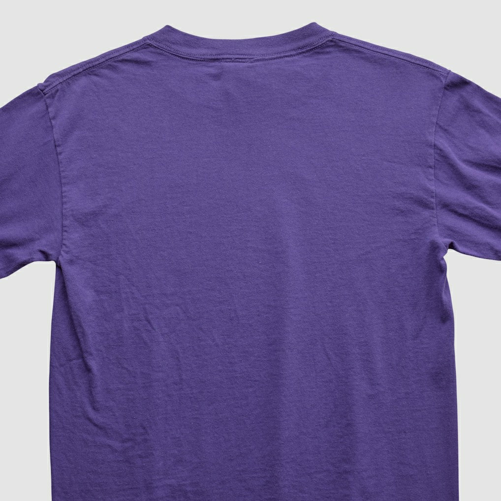 Adrian Peterson NFL 2000s Long Sleeve T-shirt - Purple Vintage - Fanatics