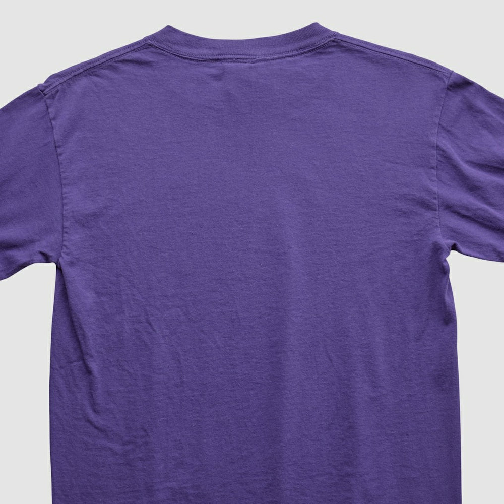 Adrian Peterson NFL 2000s Long Sleeve T-shirt - Purple Vintage - Fanatics