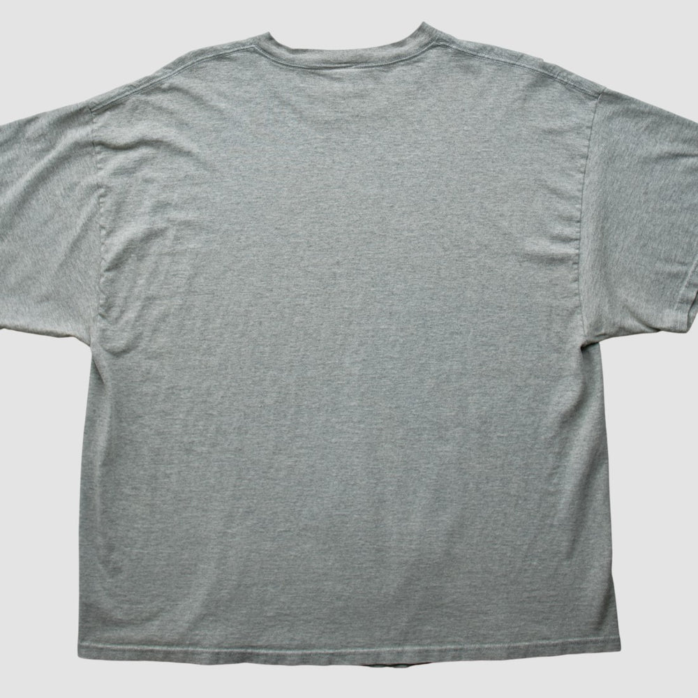 Denver Broncos NFL 2000s T-shirt - Heather Gray Vintage - Fanatics