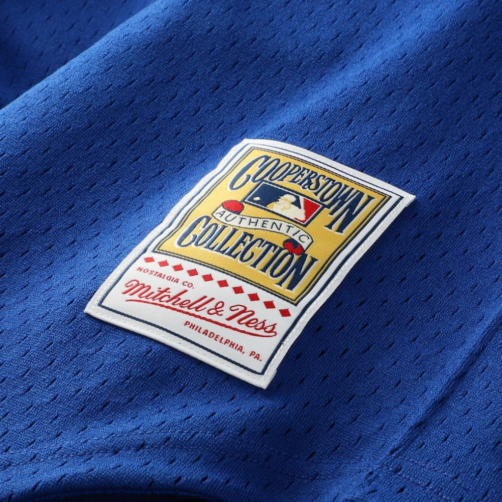 Ken Griffey Jr. Seattle Mariners Mitchell & Ness Authentic Batting Practice Jersey Online