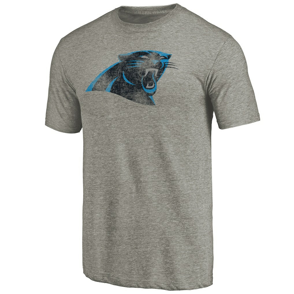 Carolina Panthers Distressed Team T-Shirt - Ash - NFL