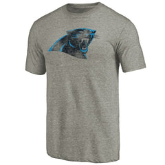 Carolina Panthers Distressed Team T-Shirt - Ash - NFL