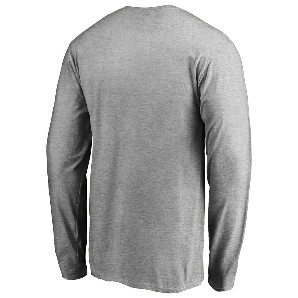 Miami Dolphins True Colors Long Sleeve T-Shirt - Ash - NFL
