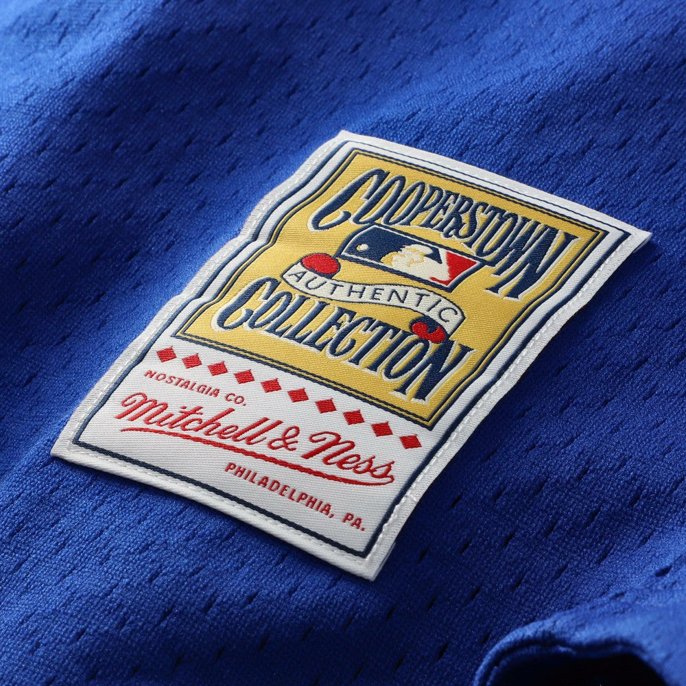 Mike Piazza Los Angeles Dodgers Mitchell & Ness Cooperstown Collection Mesh Batting Practice Button-Up Jersey Discount
