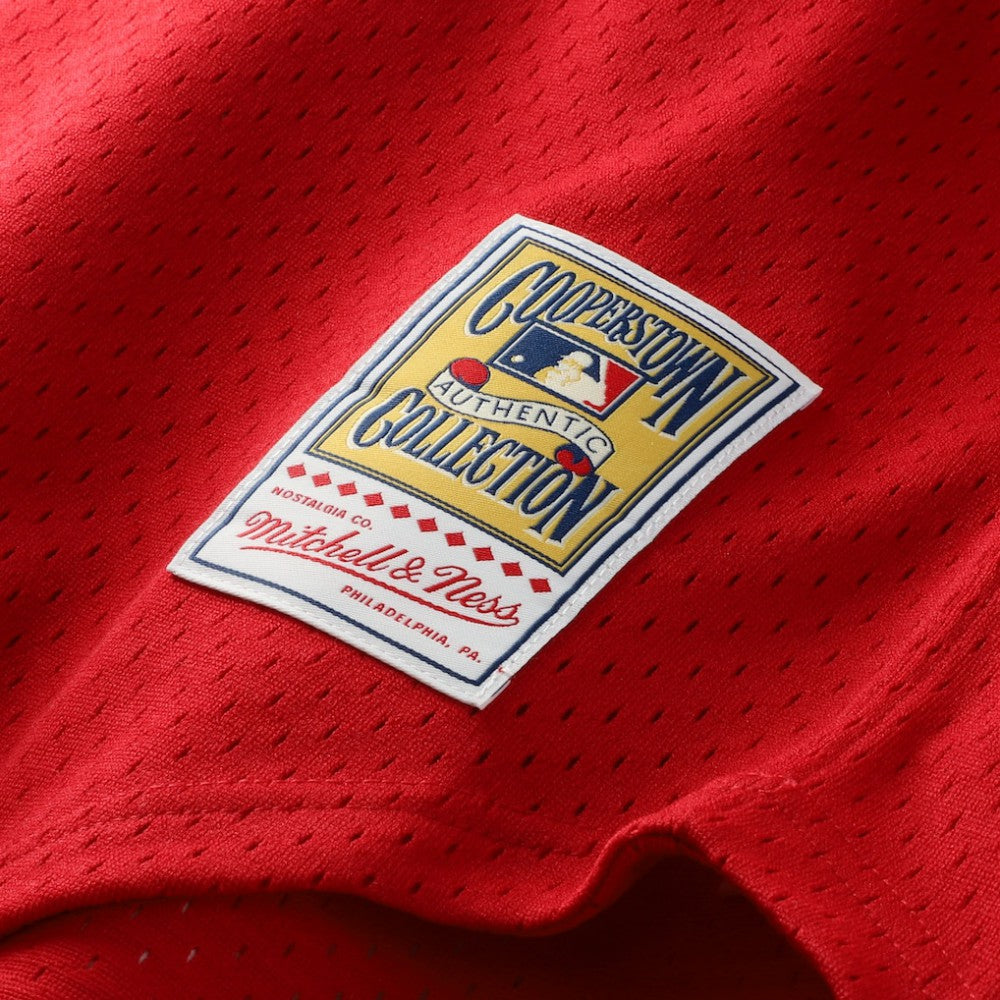 Barry Larkin Cincinnati Reds Mitchell & Ness Authentic Batting Practice Jersey Near Me
