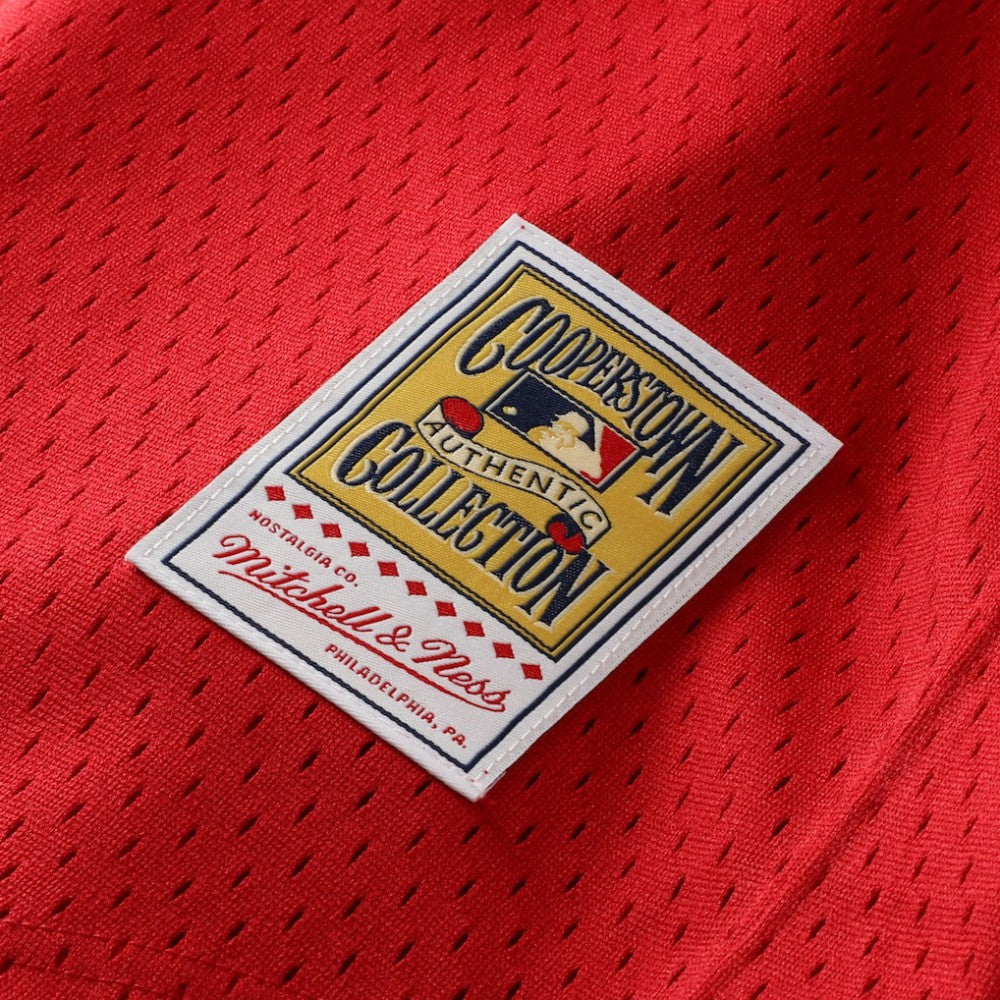 Ozzie Smith St. Louis Cardinals Mitchell & Ness Youth Cooperstown Collection Mesh Batting Practice Jersey Sale