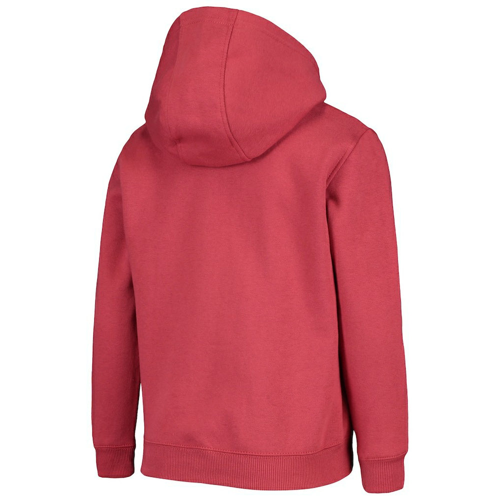 Arizona Cardinals Youth Primary Team Logo Pullover Hoodie - Cardinal - NFL