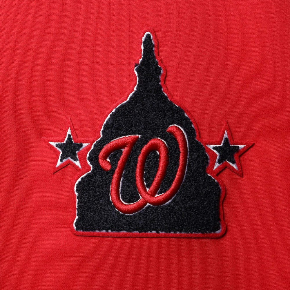 Washington Nationals Pro Standard Logo Pullover Hoodie for sale