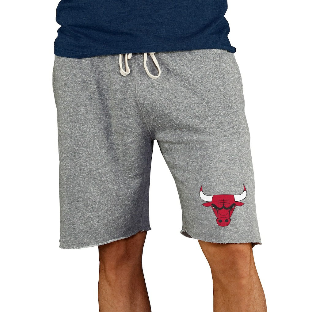 Chicago Bulls Concepts Sport Mainstream Terry Shorts Gray