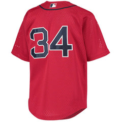 David Ortiz Boston Red Sox Mitchell & Ness Youth Cooperstown Collection Batting Practice Jersey Near Me