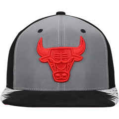 Mitchell & Ness Chicago Bulls Day 5 Snapback Hat Silver/Gray