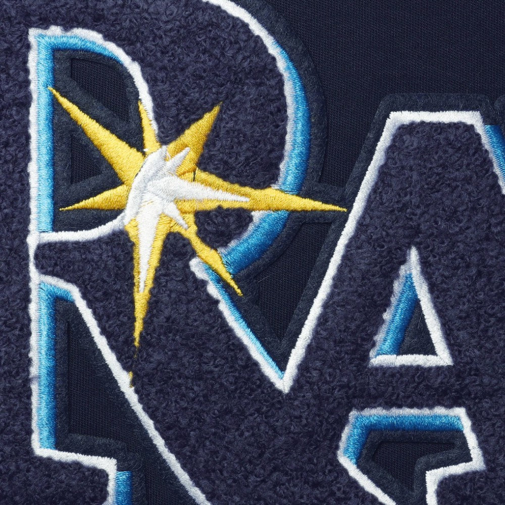 Tampa Bay Rays Pro Standard Team T-Shirt Online
