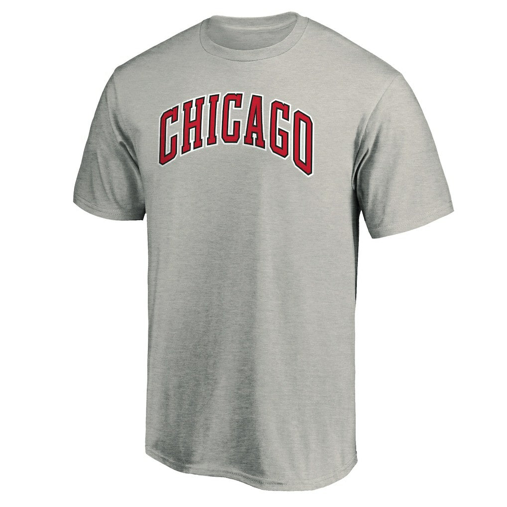 Chicago Bulls Alternate Logo T-Shirt Heathered Gray