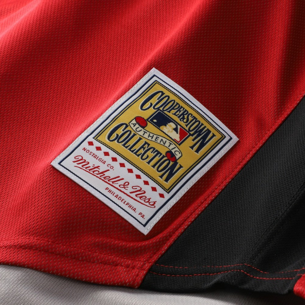 Ken Griffey Jr. Cincinnati Reds Mitchell & Ness Authentic Batting Practice Jersey for sale