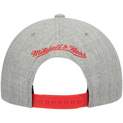 Mitchell & Ness Atlanta Hawks Hardwood Classics Team 2.0 Snapback Hat Heathered Gray